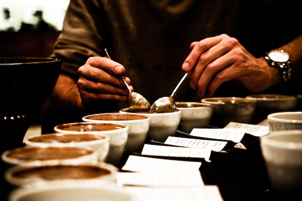 coffee cupping di single origin trip