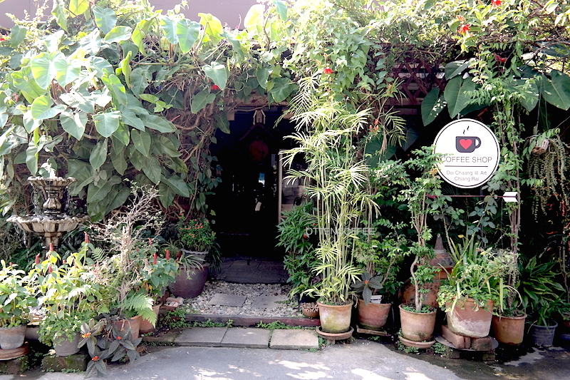 Pintu masuk Doi Chaang Coffee House