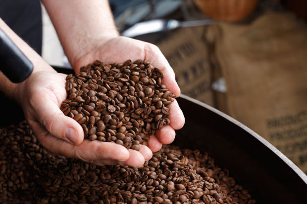 BENARKAH MINUM KOPI BISA MENGURANGI RASA NYERI?