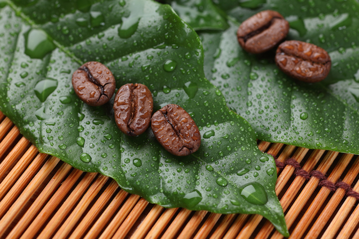 4 CARA AGAR NGOPI LEBIH ECO-FRIENDLY
