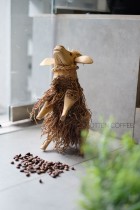 10 FAKTA UNIK TENTANG KOPI (YANG LAYAK ANDA TAHU) - Majalah Otten Coffee