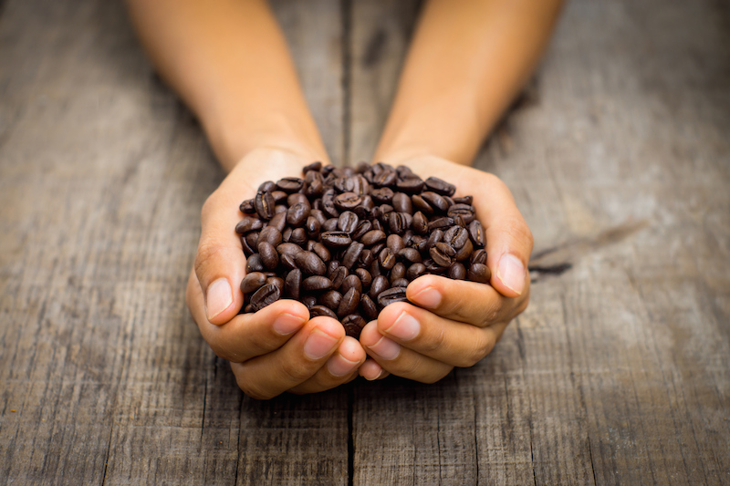 7 PROFESI PENTING DALAM DUNIA KOPI
