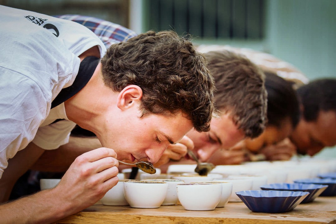 coffee cupping