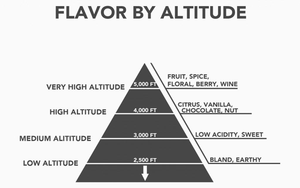 flavor by atitude