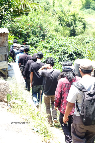 Para barista menuju ke kebun kopi.
