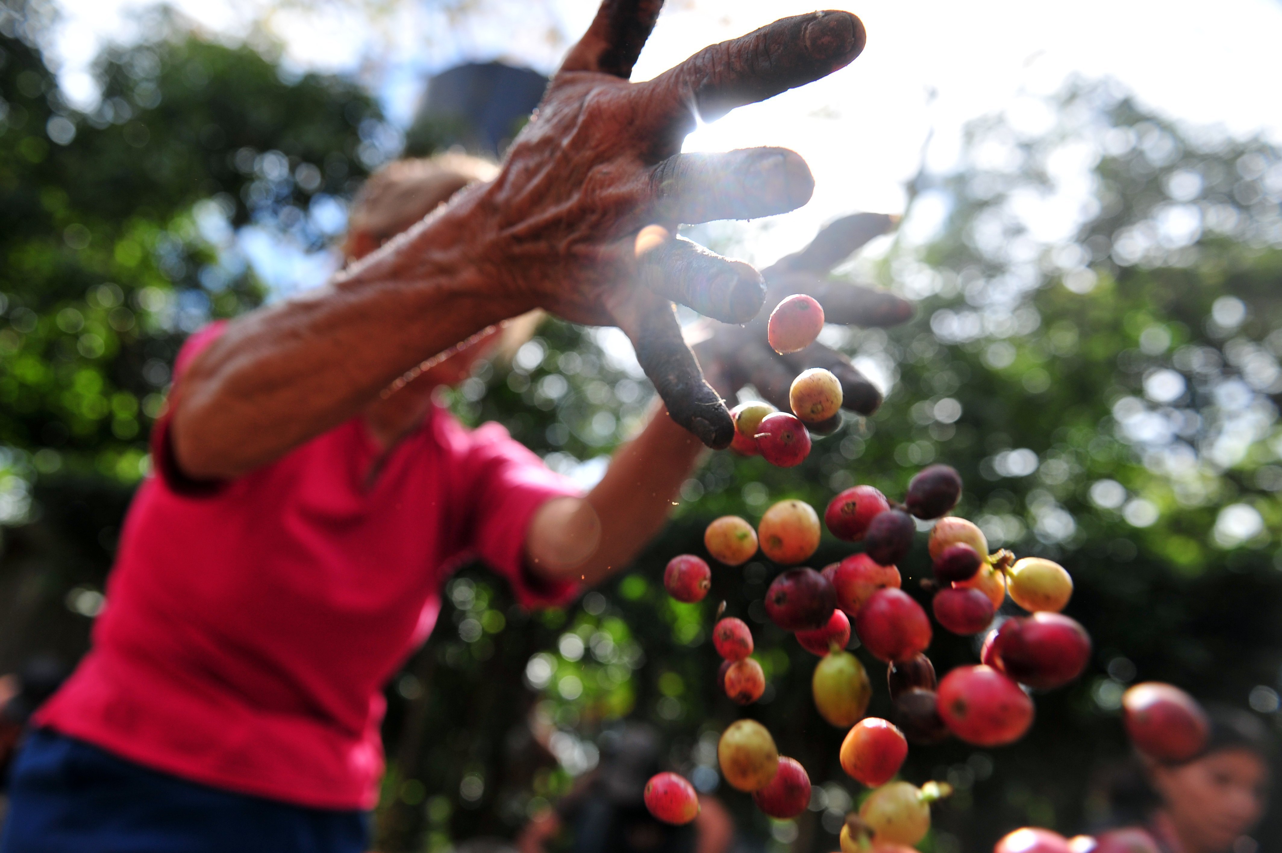 PENTINGNYA SOCIAL MEDIA UNTUK PRODUSEN KOPI