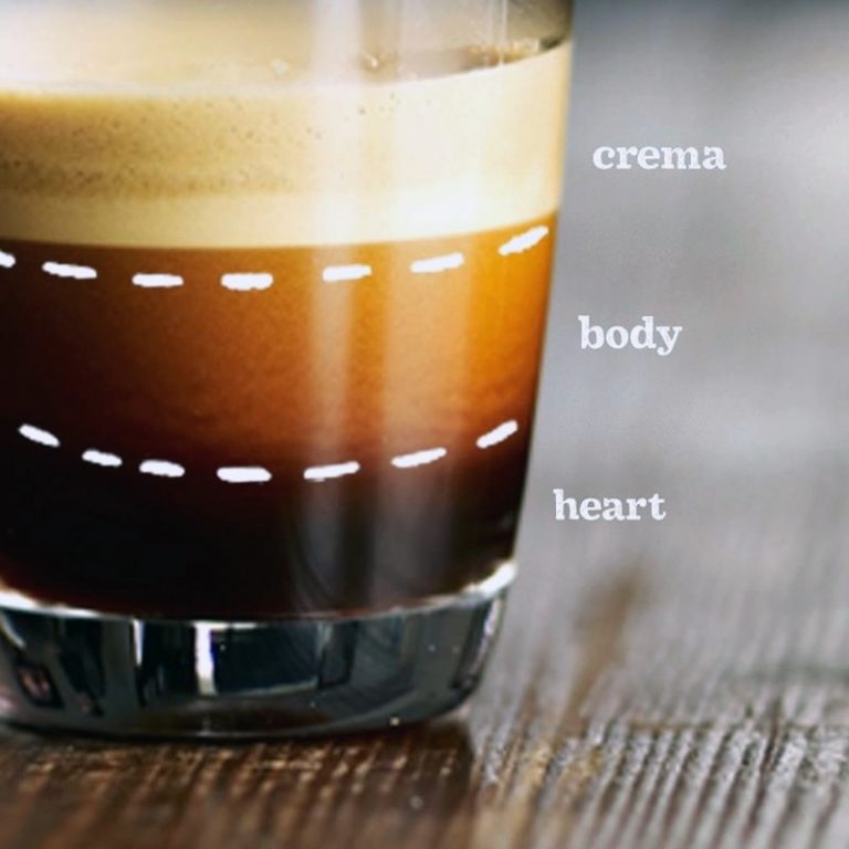 ANATOMI ESPRESSO SHOT; KOMPOSISI KENIKMATAN YANG TAK TERDUGA Majalah