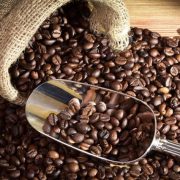 MAU KULIT TETAP CERAH? YUK BIKIN COFFEE OIL SENDIRI!
