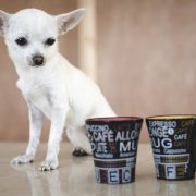 BOLEHKAH ANJING MINUM KOPI?