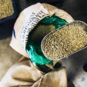 BAGAIMANA MEMPROYEKSIKAN BIJI KOPI YANG AKAN DIBELI UNTUK PERSEDIAAN