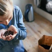 MENGAPA BIJI KOPI SPECIALITY AROMANYA BEGITU NIKMAT
