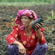 COFFEE TRIP: PEMBIBITAN KOPI ALA IBU-IBU PETANI KOPI DESA RIA-RIA