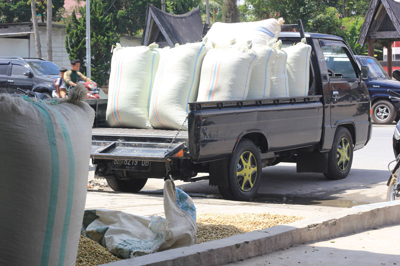 COFFEE TRIP: PASAR DOLOKSANGGUL DAN GABAH PETANI KOPI 