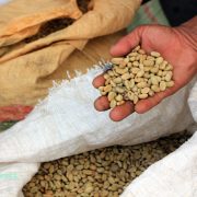 COFFEE TRIP: PASAR DOLOKSANGGUL DAN GABAH PETANI KOPI