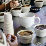 Indonesia Cup Taster Championship ICTC, Kompetisi Ahli Kopi