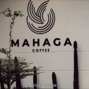 PAGI YANG SEKSI DI MAHAGA COFFEE MEDAN