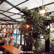 TEPI COFFEE PANGURURAN SAMOSIR
